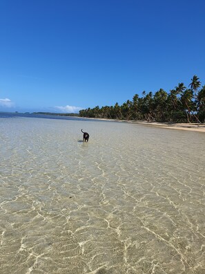 Am Strand, Strandtücher