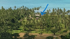 Een kustlandschap met uitzicht op de oceaan en palmbomen.