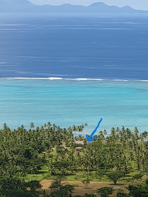 Een kustlandschap met uitzicht op de oceaan en palmbomen.
