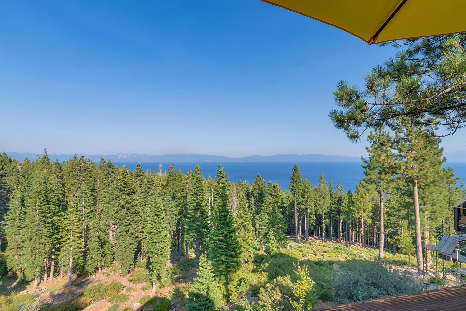 A forested area with a view of the ocean and mountains in the distance.