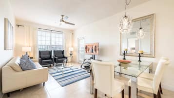 TV, video game console, Netflix, DVD player