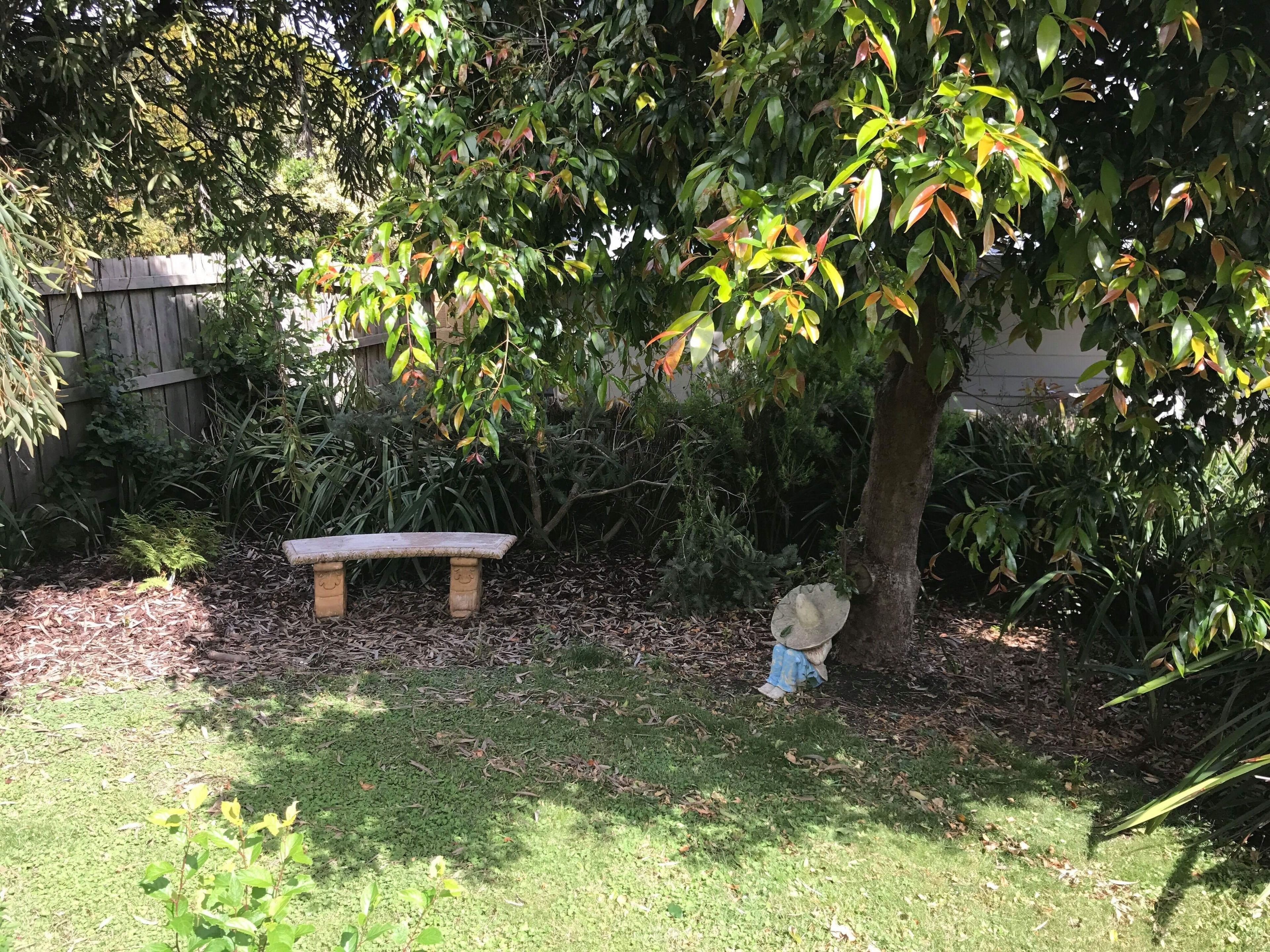 Un banco de madera en un jardín con un árbol y follaje denso.
