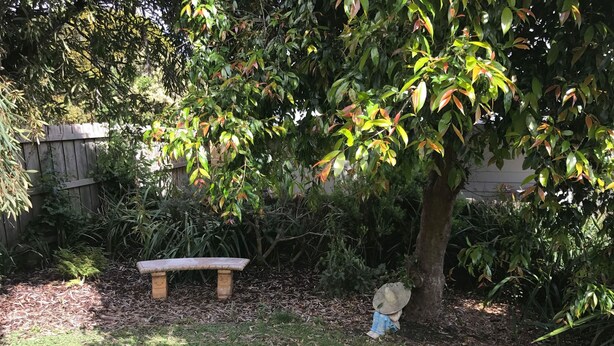 Een houten bank in een tuin met een boom en weelderige begroeiing.