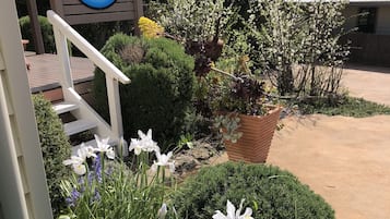 Tuin
