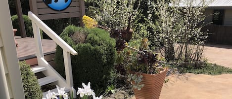 Jardin