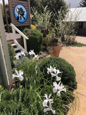 Een tuin met witte bloemen en een bord waarop een figuur een koffer vasthoudt.