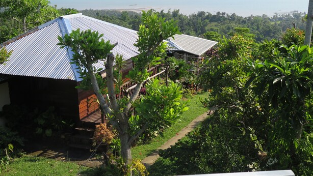 Vista de dos cabañas rústicas con techos de lámina corrugada, rodeadas de abundante vegetación y una lejana vista de una gran masa de agua.