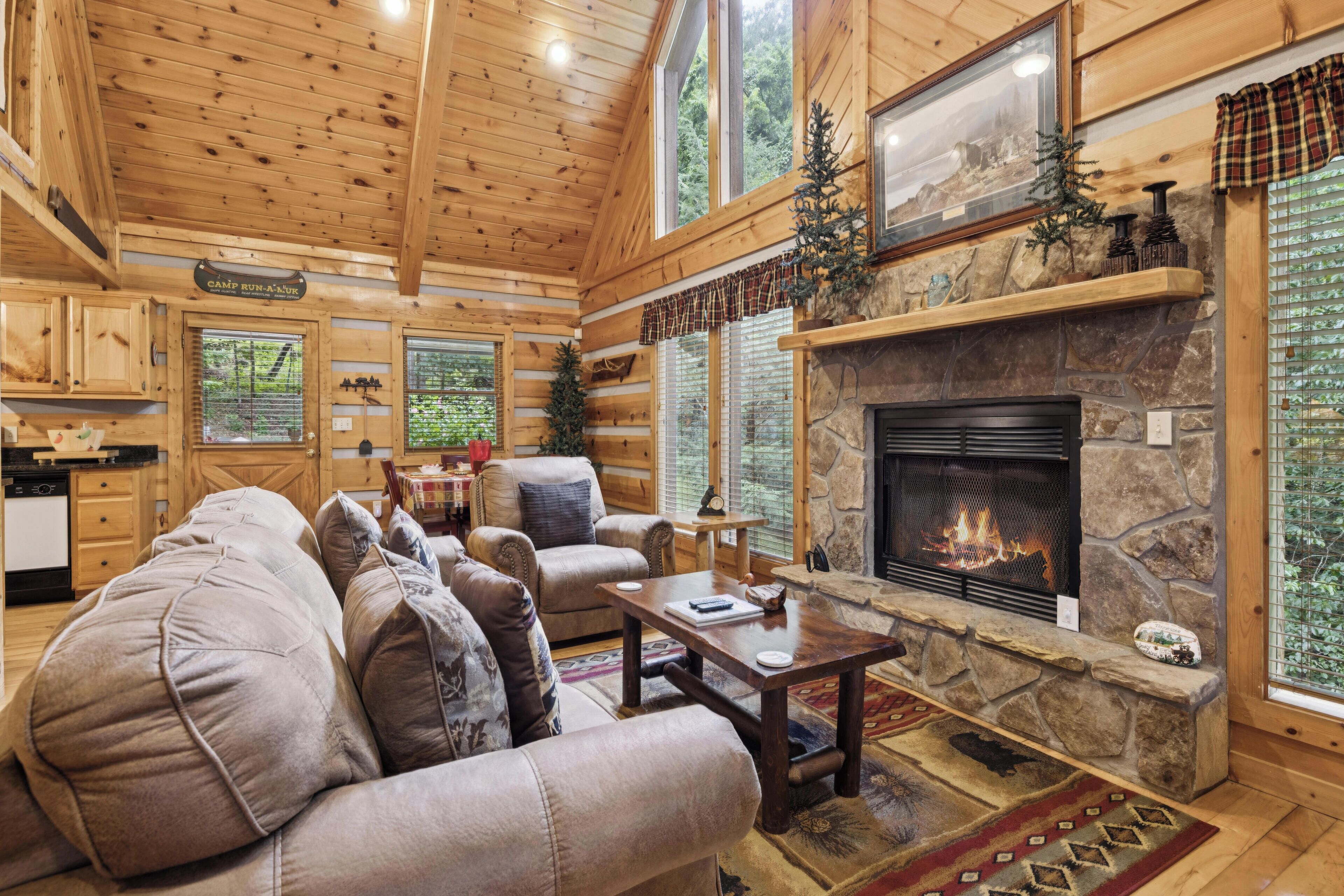 Smart TV, fireplace, video games, DVD player