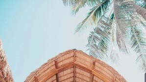 Terraço/pátio