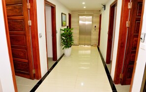 A hotel corridor with wooden doors, a potted plant, and an elevator.