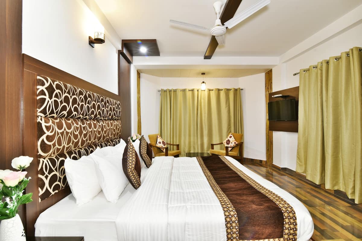 A hotel room with a large bed, a ceiling fan, a TV, and a view of the outside through the curtains.