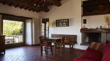 TV, fireplace
