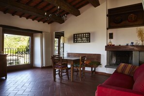 TV, fireplace