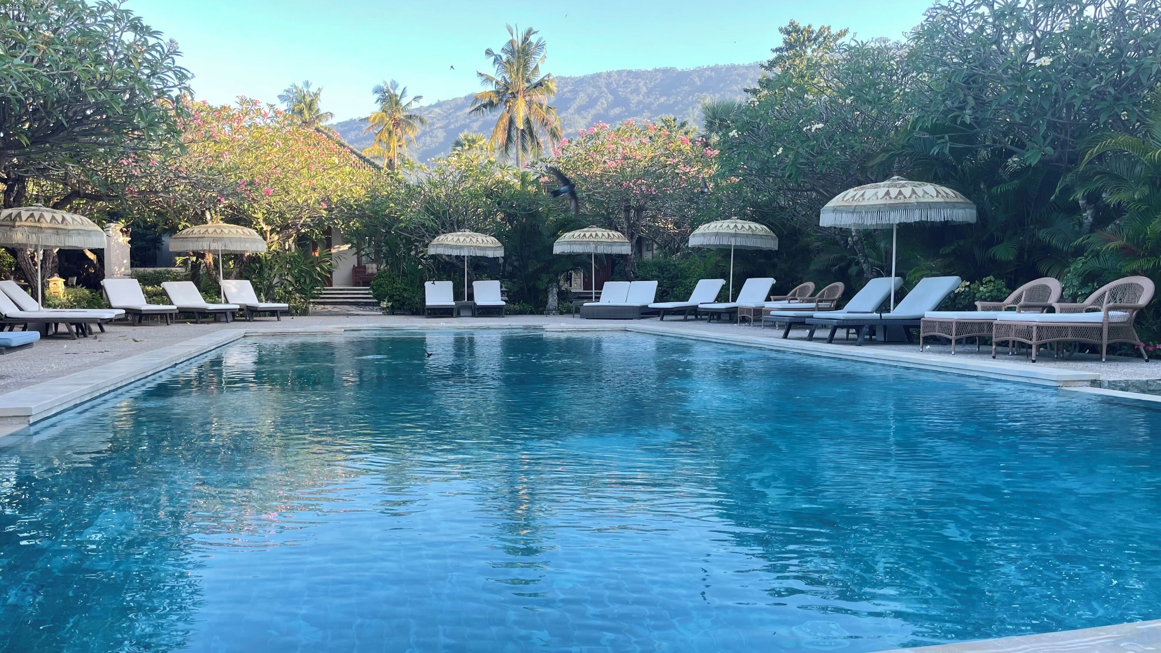 A swimming pool with lounge chairs and umbrellas, surrounded by greenery and mountains.
