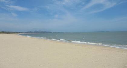 Antique Courtyard B&B