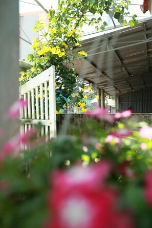 Property grounds - Mia's House - Hostel (Dong Hoi)