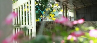 Mia's House - Hostel