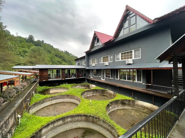 舒适三人房, 无烟房, 泳池景观 | 客房景观