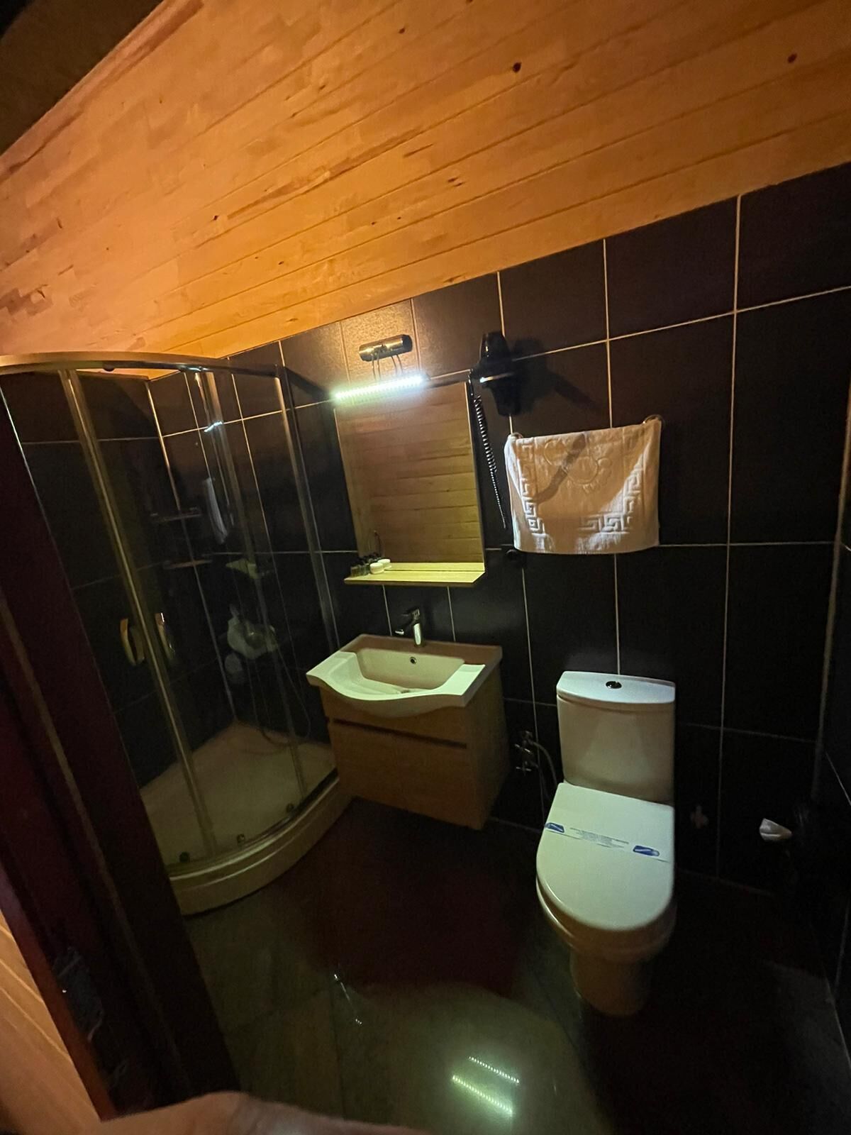 A bathroom with a glass shower enclosure, a sink, and a toilet.