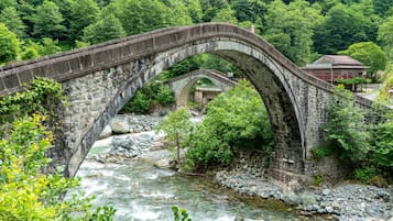 Esterni