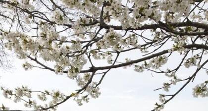 B&B Le Dolci Colline Del Montefeltro