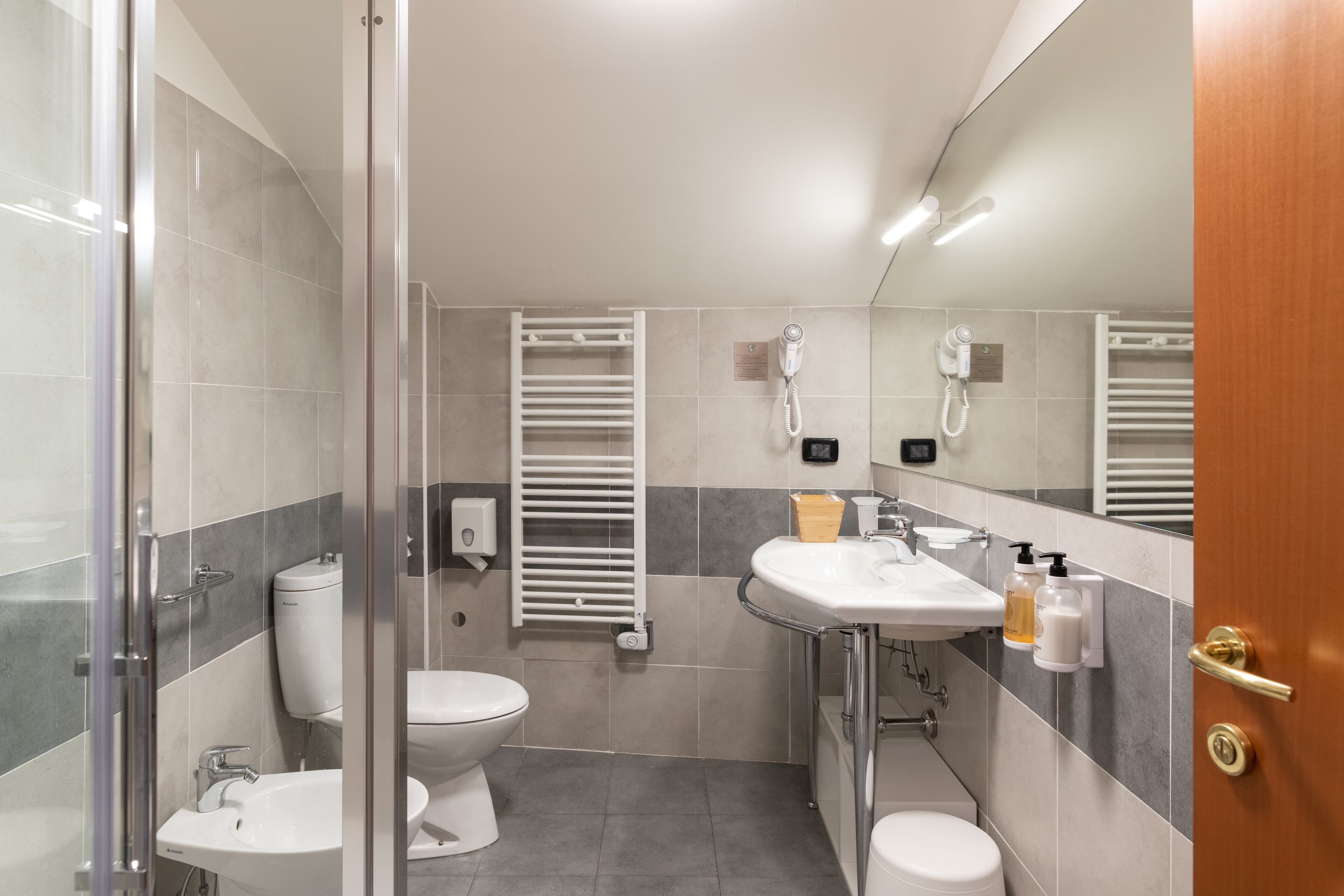 shower, free toiletries, hair dryer, bidet