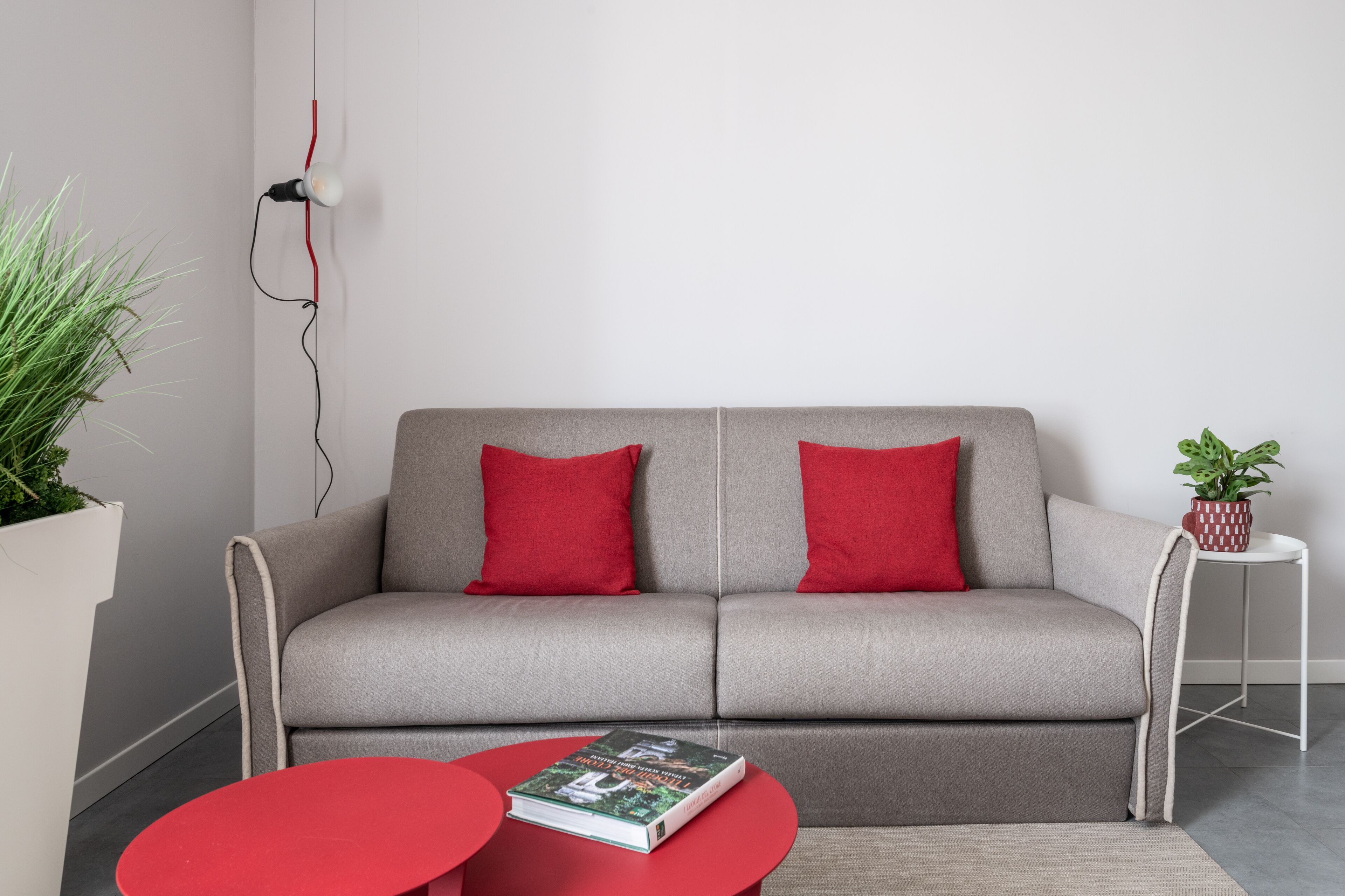 A modern living room with a grey sofa, red cushions, a red coffee table, and a potted plant.