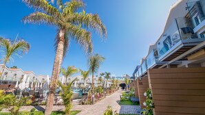 A resort with a pool area, palm trees, and a pathway leading to the buildings. - Hotel LIVVO Los Calderones - Adults Recommended (San Bartolomé de Tirajana)