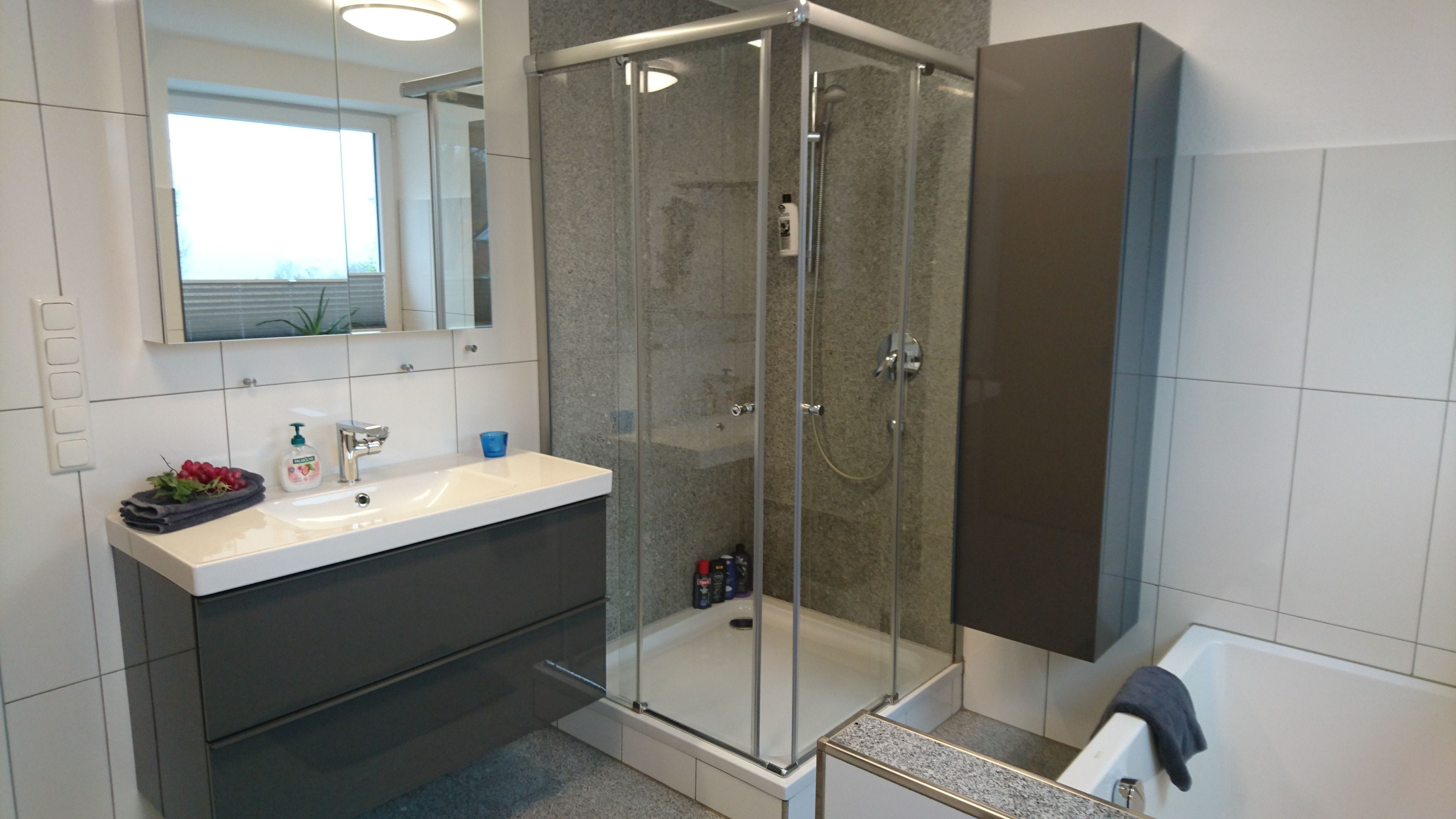 Hair dryer, towels, soap, shampoo