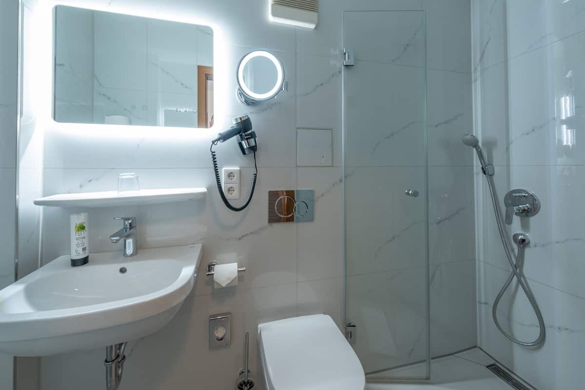 shower, free toiletries, hair dryer, towels