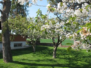 Garden - Bed & Breakfast Bompadre (Civitanova Marche)