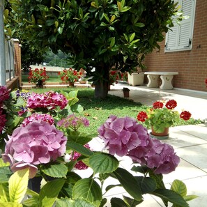 Garden - Bed & Breakfast Bompadre (Civitanova Marche)