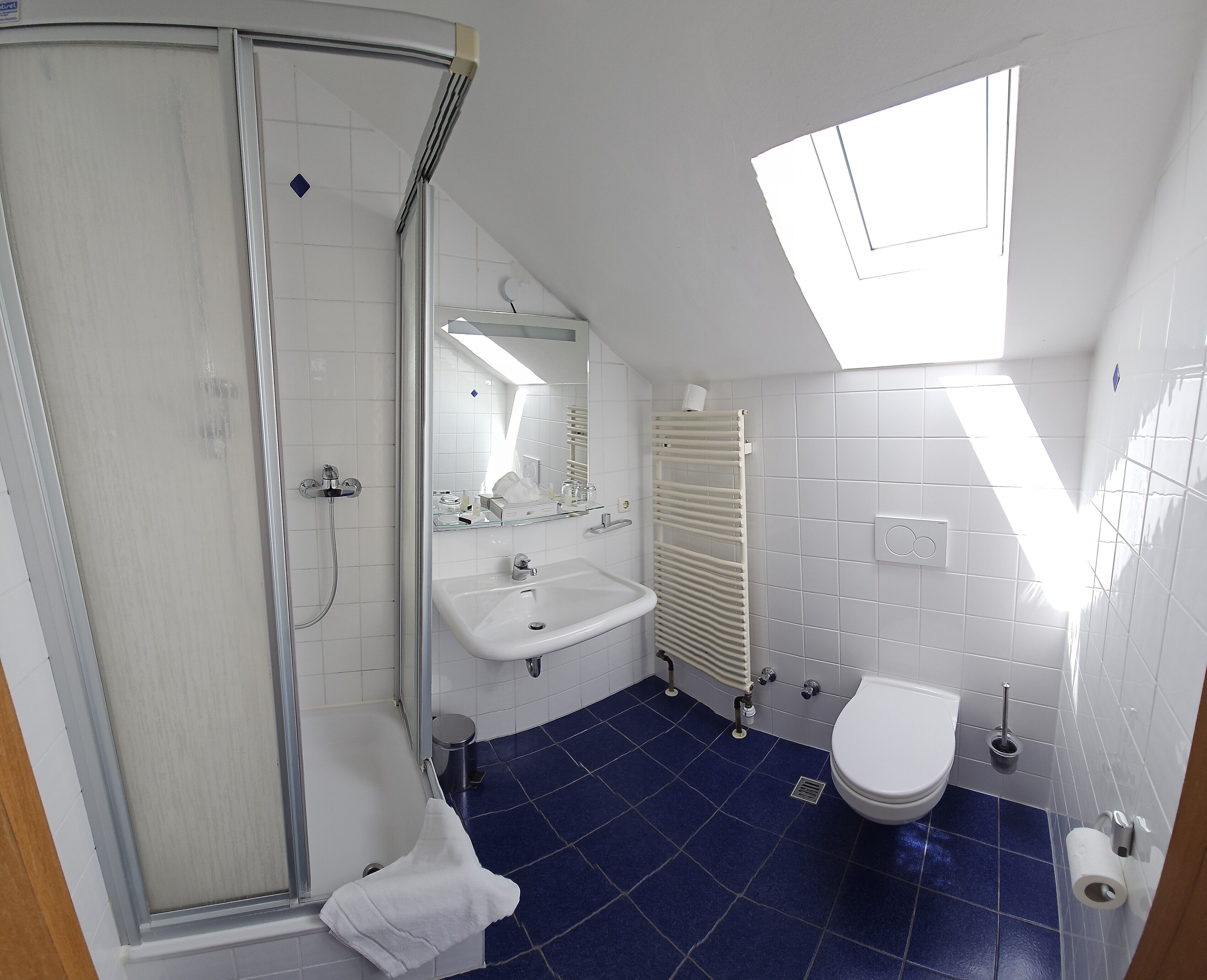 A bathroom with a shower, sink, toilet, and skylight.