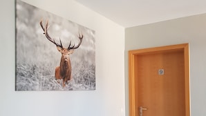 Un pasillo con una puerta de madera marcada con el número 9, una pared blanca y una fotografía enmarcada de un ciervo.