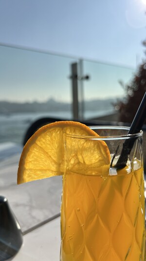 The Wings Hotel Istanbul