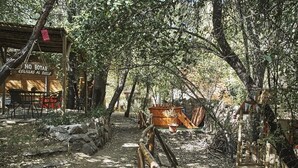 Property grounds - Cabañas Alegria, Cajon del Maipo 001 (San José de Maipo)