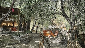 Unclassified image, 4 of 10, button - Cabañas Alegria "magnolia" Para 4 Personas, Cajón del Maipo 002 (San José de Maipo)