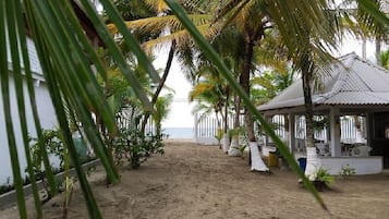 Khuôn viên nơi lưu trú