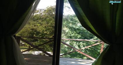 Cabana Los Molinos Vidal