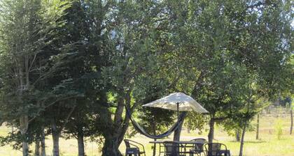 Cabana Ruminot Para 5 Personas.pucon