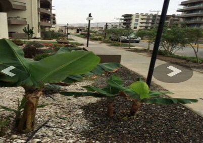 Departamento Para 6 Personas en Condominio Parque Parinacota, Arica 013