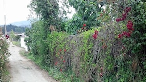 Property grounds - Parcela Aracena Para 8 Personas La Serena (La Serena)