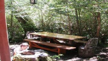 BBQ/picnic area