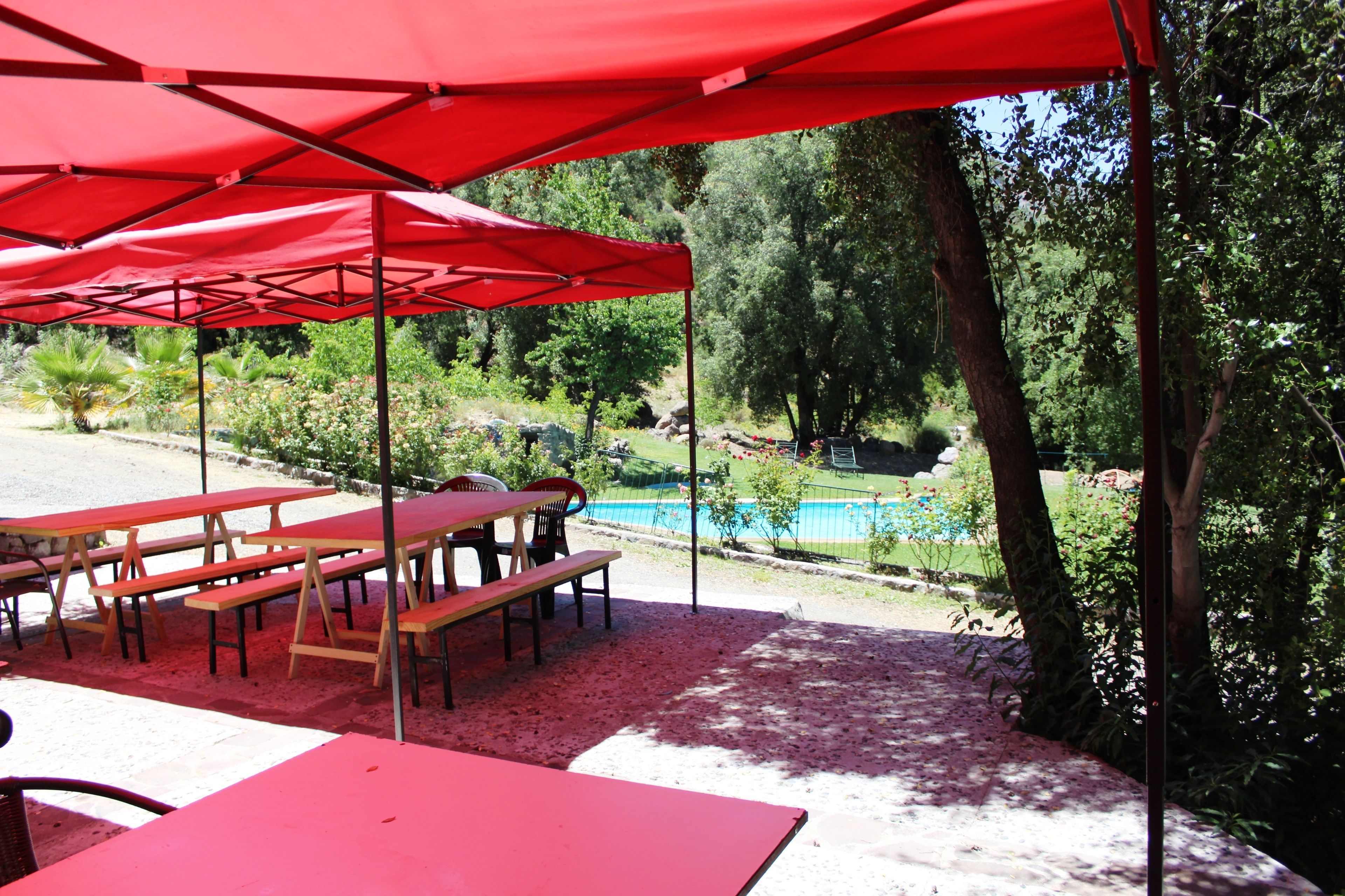 BBQ/picnic Area