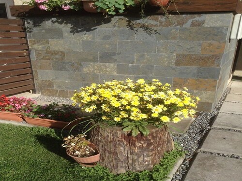 Cabana 7 Personas Centro Pucon