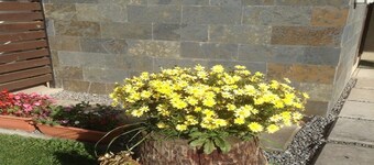 Cabana 7 Personas Centro Pucon