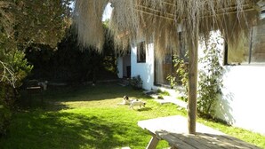 Tuin