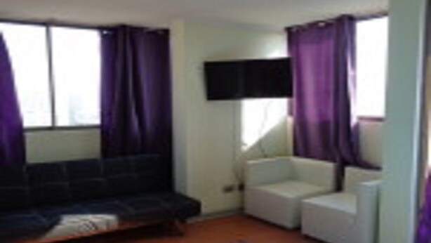 TV - Departamento Alejandro Portugal 551 (Santiago)