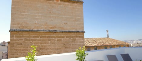 Superior Penthouse, 1 Bedroom, Terrace, City View | Terrace/patio