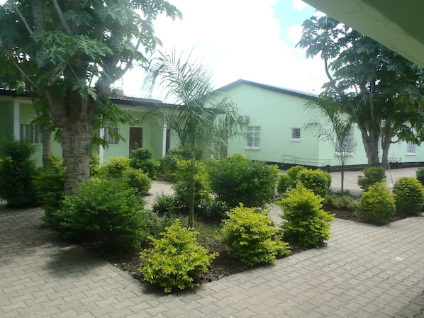 A courtyard with a paved walkway, surrounded by various green plants and trees.